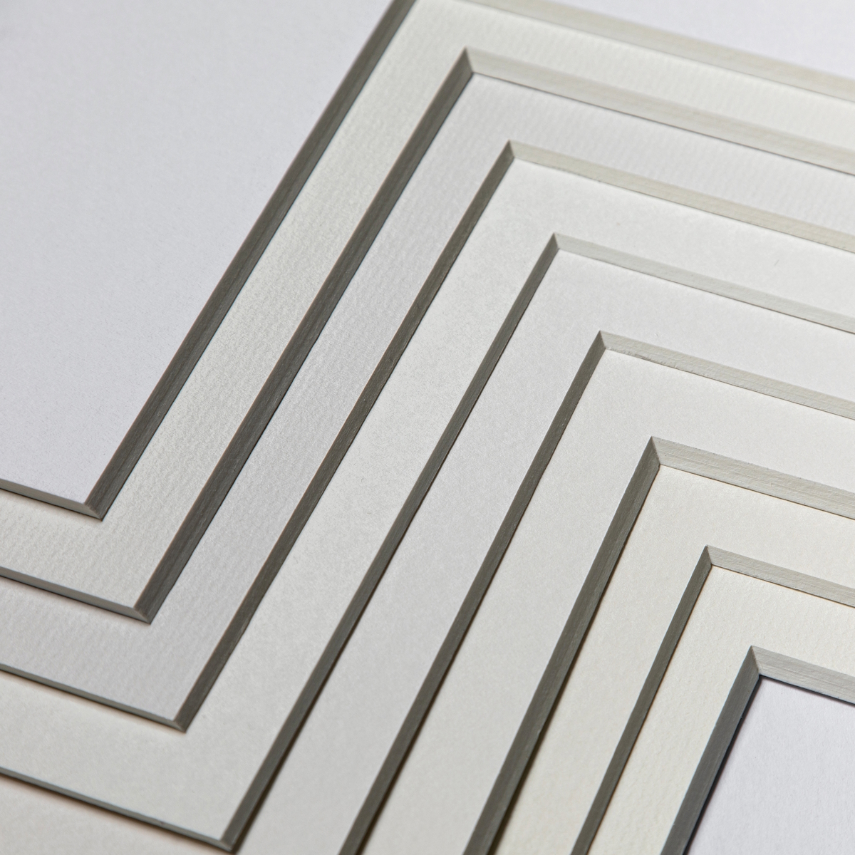 Conservation mounting